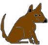 PetBirths